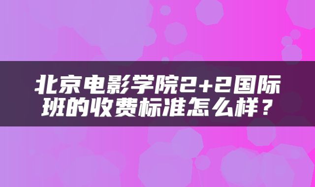 北京电影学院2+2国际班的收费标准怎么样？