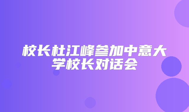 校长杜江峰参加中意大学校长对话会
