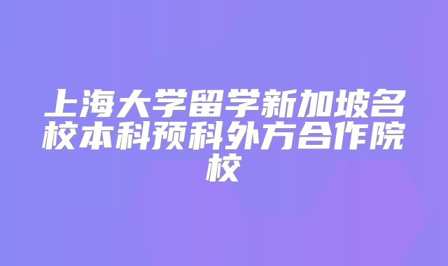 上海大学留学新加坡名校本科预科外方合作院校