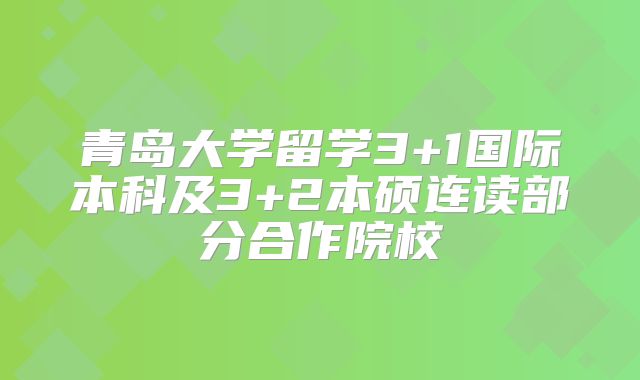 青岛大学留学3+1国际本科及3+2本硕连读部分合作院校