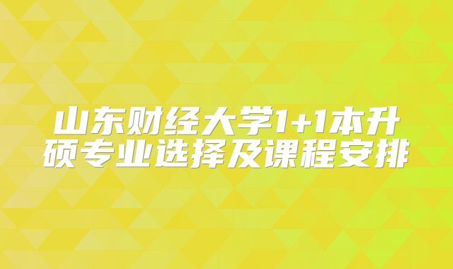 山东财经大学1+1本升硕专业选择及课程安排
