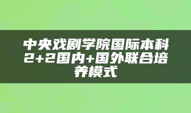 中央戏剧学院国际本科2+2国内+国外联合培养模式