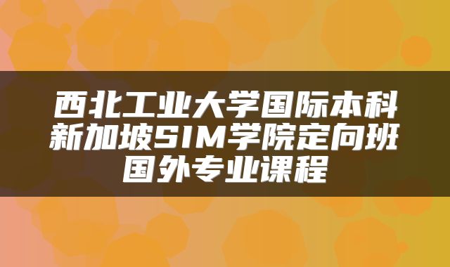 西北工业大学国际本科新加坡SIM学院定向班国外专业课程
