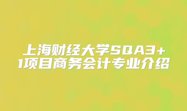 上海财经大学SQA3+1项目商务会计专业介绍
