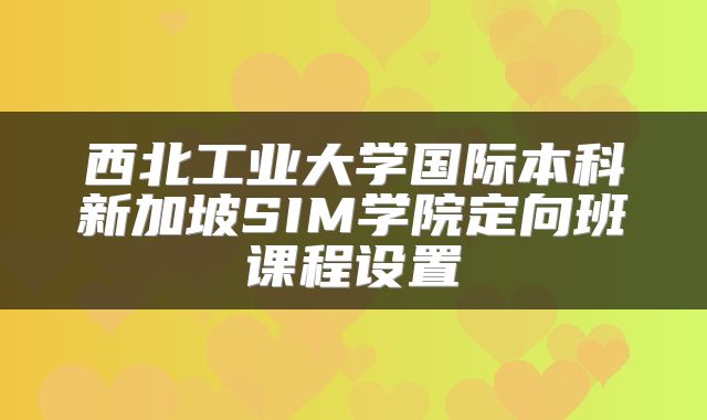 西北工业大学国际本科新加坡SIM学院定向班课程设置